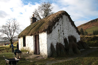 Thatched cottage