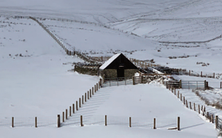 Vernacular Building 46